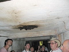 CairnsTC449 Paronella Park